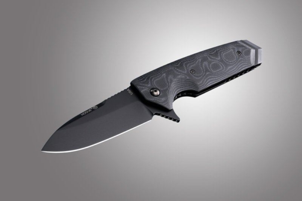 Hogue EX-02 3.75 inch Flipper G10 Scales G-Mascus Black Folder Spear Point Blade